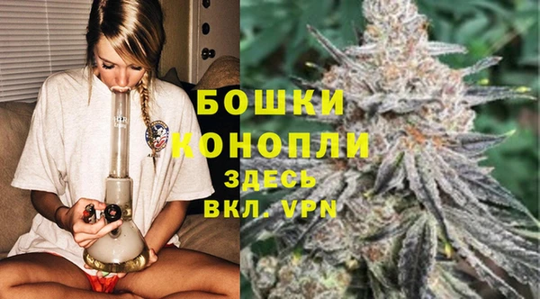 Альфа ПВП Дмитриев