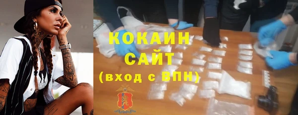 твердый Дмитровск
