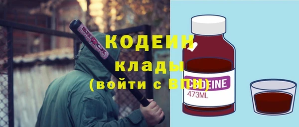 индика Тутаев