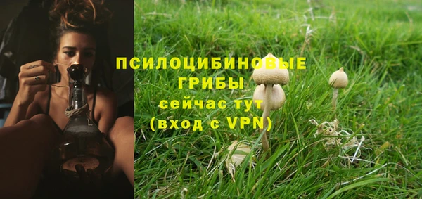 Альфа ПВП Дмитриев