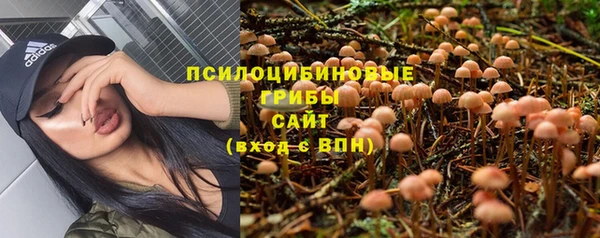 мдма Дмитров