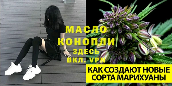 твердый Дмитровск