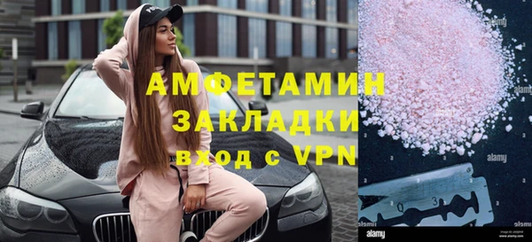 твердый Дмитровск