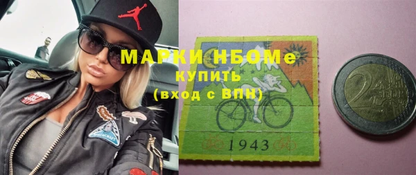индика Тутаев